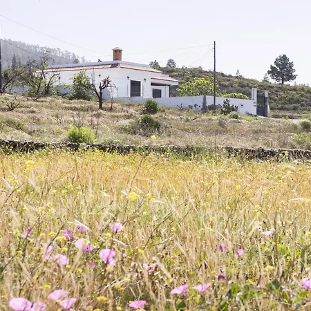 Casa vacanze Live Adeje Taucho Relax Place With Terrace