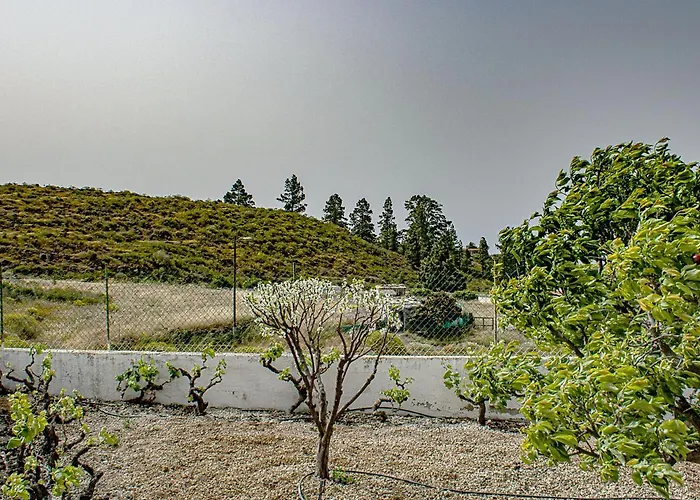 Live Adeje Taucho Relax Place With Terrace Vakantiehuis *