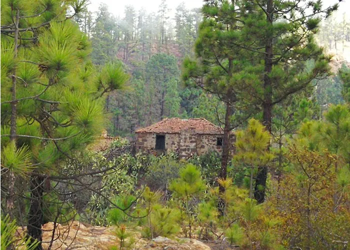 Live Adeje Taucho Relax Place With Terrace